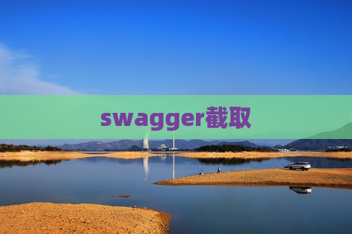 swagger截取